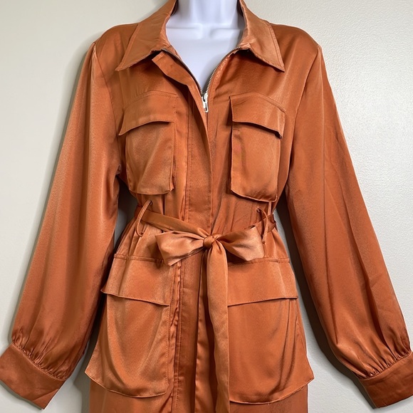 Strut & Bolt The Risky Business Dress Satin Polyester Copper Size Large NWT - Picture 3 of 17